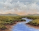 Coastal Marsh