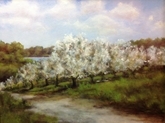 Spring Glory