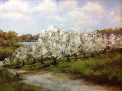 Spring Glory